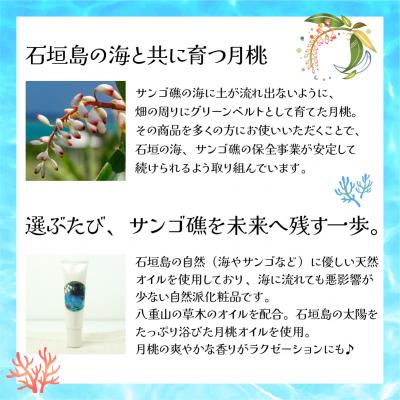 ふるさと納税 石垣市 幸-美彩-さちちゅらいろ 島の日焼け止め(30g) |  | 02