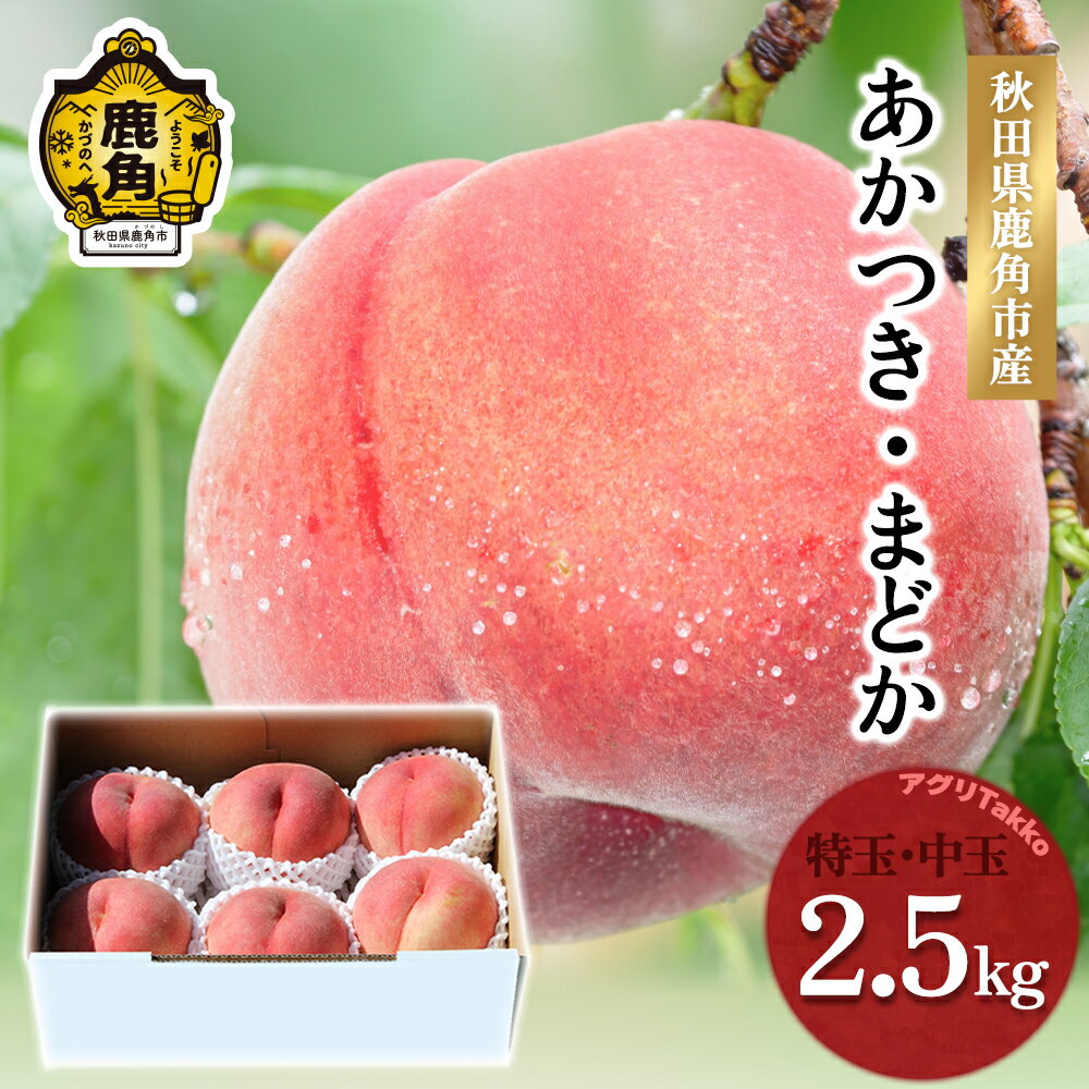 【ふるさと納税】《 先行予約 》 秋田県鹿角産 桃 「 あかつき or まどか 」 選べる 特玉 中玉 2.5kg 贈答用 良品 もも モモ 桃 お盆 お見舞い 内祝い おすそ分け 国産桃 お中元 お歳暮 贈り物 グルメ ギフト 故郷 秋田 あきた 鹿角市 鹿角 送料無料 【アグリTakko】