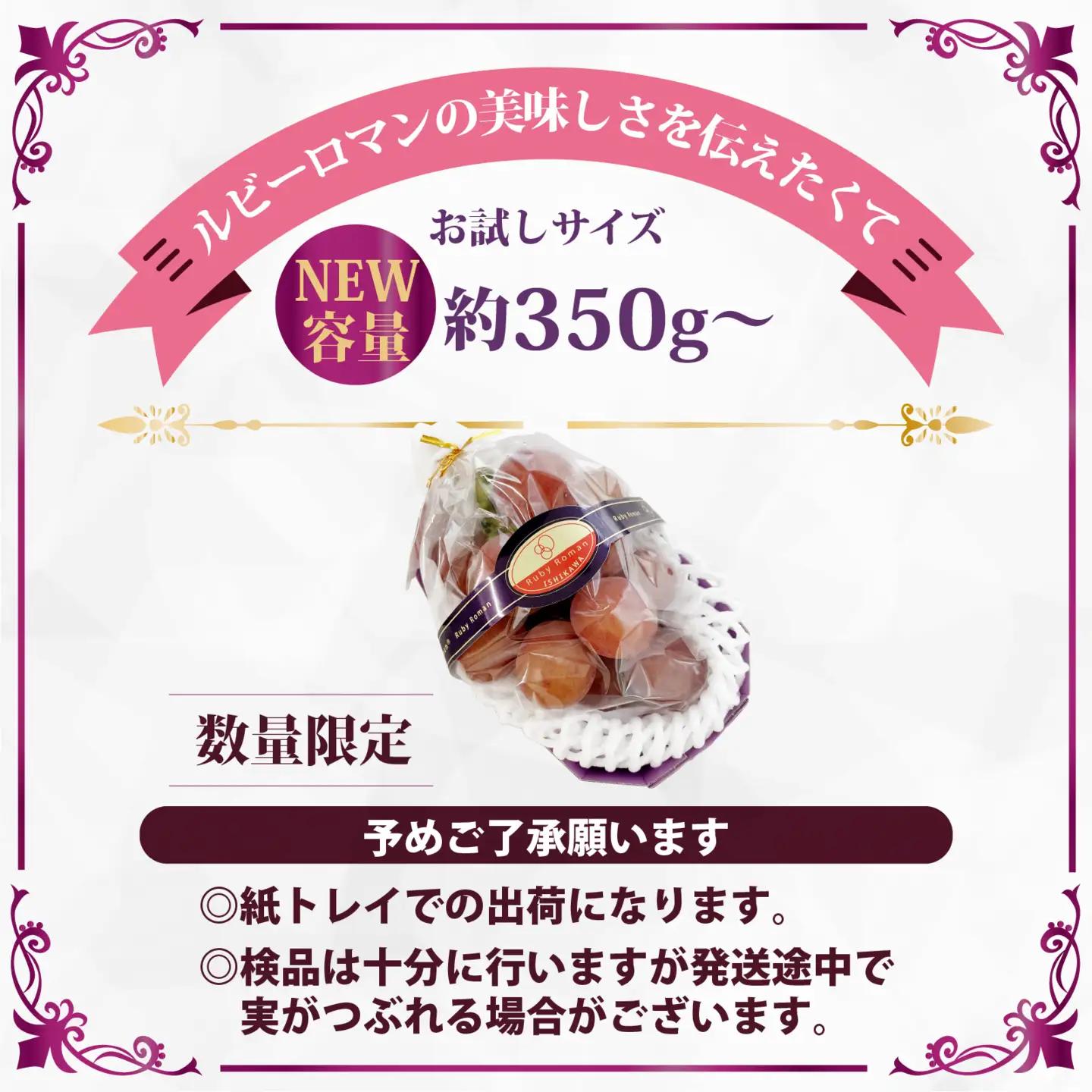 【先行予約 2026年収穫分】ルビーロマン 1房 約350g（お試しサイズ）｜ ぶどう 