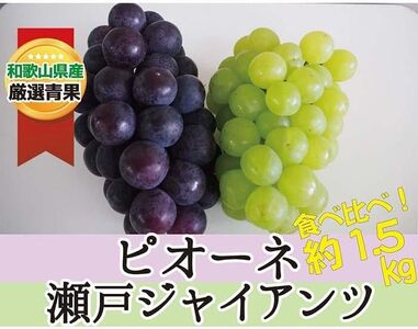 ピオーネ＆瀬戸ジャイアンツ 約1.5kg ★食べ比べ★【2026年8月下旬～2026年9月中旬頃順次発送】【A241-frks135】