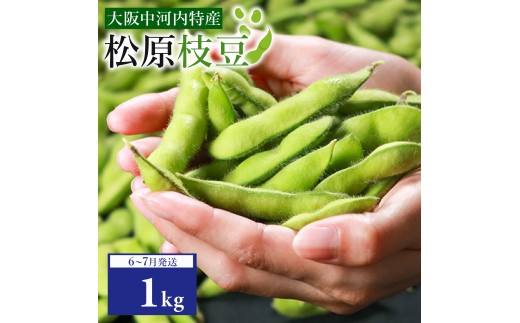 【先行予約】【濃厚な甘み】有機肥料・減農薬 枝豆 大粒 選べる 1kg ぷっくりホクホク食感！ えだまめ 夏野菜 旬 産地直送 冷蔵 お中元 上田ファーム 大阪府 松原市