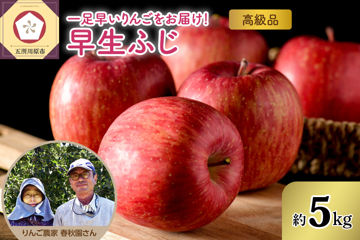 
                  【先行予約 2026年10月上旬発送】りんご（早生ふじ）約5kg 高級品 春秋園 青森【贈答用 リンゴ 林檎 早生フジ】
                