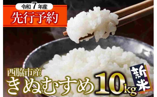 【新米先行予約】きぬむすめ 10kg 白米 令和７年産 (29-17) 米 お米 こめ コメ 人気 西脇市産 精米