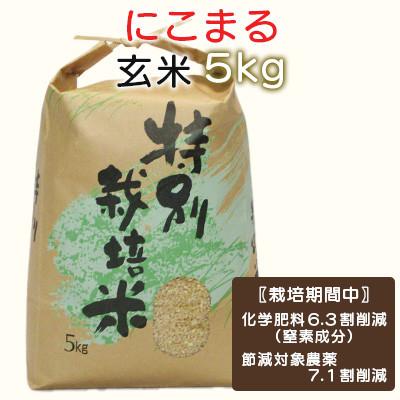ふるさと納税 諫早市 【令和7年産】特別栽培米・九州のこだわり米「にこまる」玄米5kg