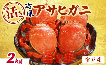 【 活冷凍 アサヒガニ 約2㎏ 】蟹 かに カニ がに ガニ 生 魚介類 海鮮 FN-Limited-PR