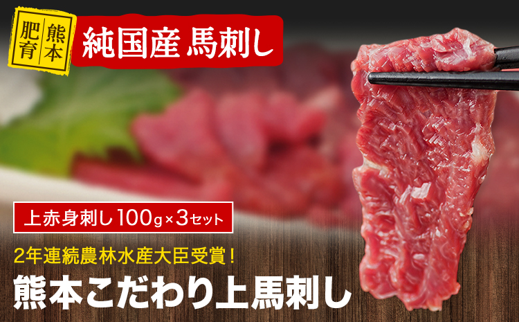 馬刺し 上赤身 ブロック 国産 熊本肥育 冷凍 生食用 たれ付き(10ml×3袋) 100g×3セット 肉 絶品 牛肉よりヘルシー 馬肉 平成27年28年 農林水産大臣賞受賞 熊本県山江村 《7-14日以内に出荷予定(土日祝除く)》 ---ym_fkgakm_wx_13500_300gt---