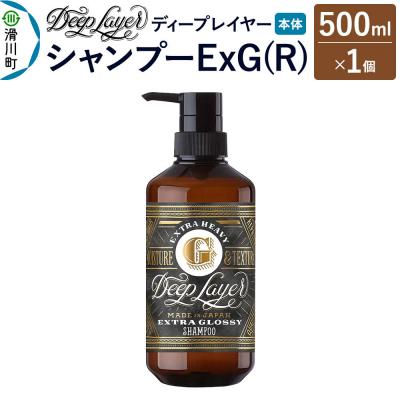 ふるさと納税 滑川町 ディープレイヤー シャンプー ExG 500mL×1個|19_sss-220101