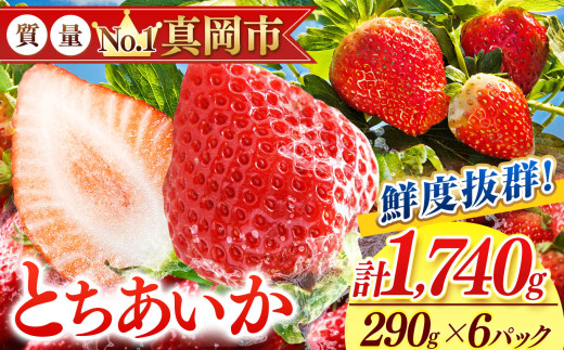 鮮度抜群 とちあいか 3箱 (290g×6) 1740g  |  選べる 容量 3箱 日本一 産地 大粒 冬 味覚 いちご 苺 イチゴ ストロベリー 大きい  ハート 美味しい 果汁 ジューシー 甘い あまい 甘味 たっぷり 大容量 | 人気 レビュー 栃木県 真岡市 送料無料