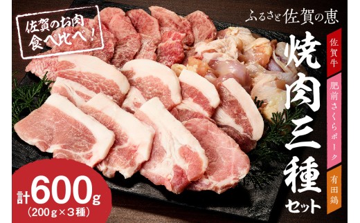 佐賀の恵み 三種焼肉セット（佐賀牛・有田鶏・肥前さくらポーク）×2セット 015-J1628