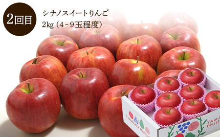 【先行予約 2026年度発送】♪フルーツ王国山形♪ 定期便3回 Fコース りんご リンゴ 林檎 デザート フルーツ 果物 くだもの 果実 食品 山形県 FSY-2561