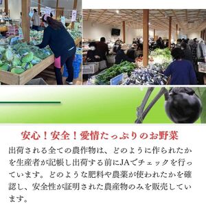 直売所からお届け！旬の野菜セット【隔月6回お届け】（8～10品詰め合わせ）新鮮な野菜直送便