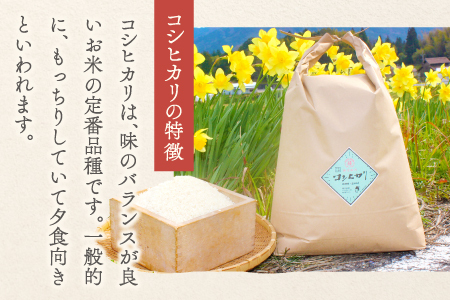 C-1107 【定期便】横尾衛門のコシヒカリ 白米 5kg×6回コース