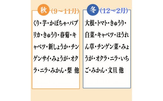 野菜  8 品目 | お楽しみ やさい セット 旬 春 夏 秋 冬 採れたて 新鮮 農家 直送 詰め合わせ 国産 季節 フレッシュ きゅうり ピーマン なす トマト 大根 白菜 高知県 須崎市 ME0