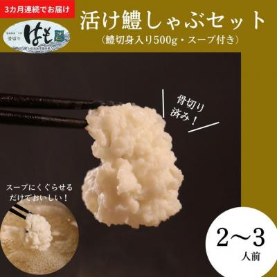 ふるさと納税 小松島市 【定期便 全3回】 鱧しゃぶセット 毎月お届け!