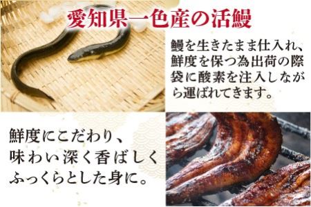 人気料理店の食べる口福お届け便 (みなみ特選刻みうなぎ 1セット3袋)【A-6508】