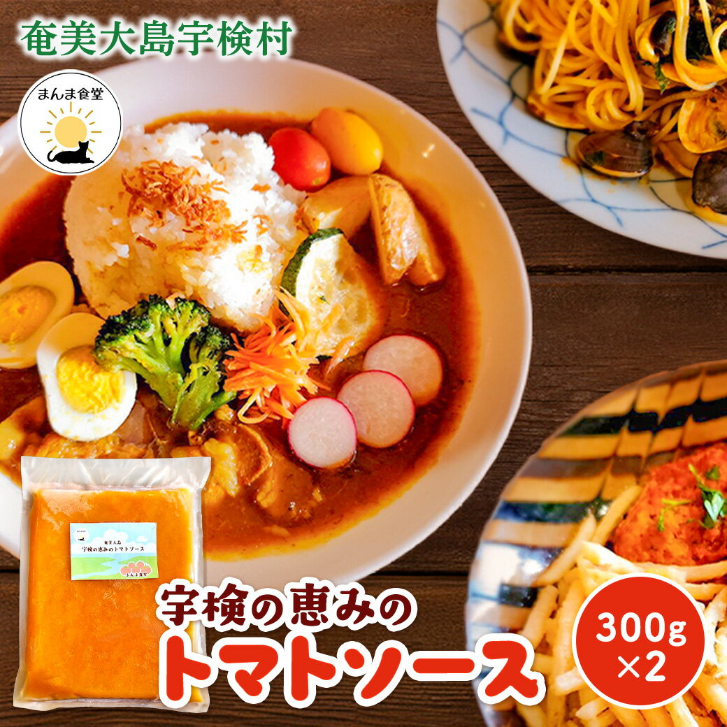 【ふるさと納税】宇検の恵み トマトソース （300g×2パック） 冷凍 奄美 大島 宇検村 鹿児島県 素材 自宅用 ソース トマト とまと