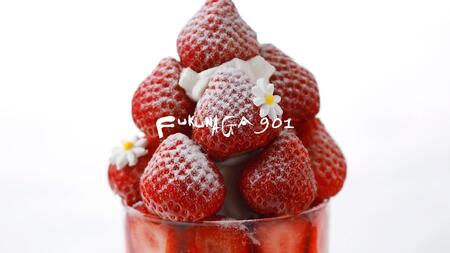 【FUKUNAGA901】バルクアイス ミルク(たっぷり2L入り)［ 京都 スイーツ おしゃれ パフェ 人気店 大容量 アイス 人気 おすすめ お菓子 洋菓子 京都駅 駅ビル お取り寄せ 通販 送料無