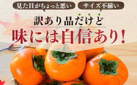 たねなし 柿 わけあり ！ 約 7kg | 柿 かき カキ 果物 フルーツ くだもの 訳あり 家庭用 ご家庭用 お歳暮 秋 味覚 奈良県 五條市
