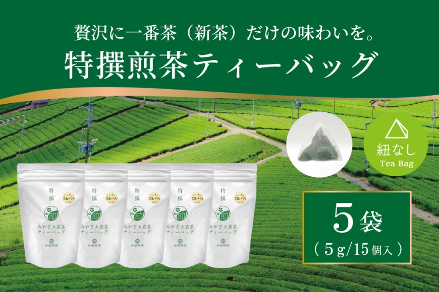 お茶 ティーバッグ 特撰 みやざき煎茶 5袋 セット [谷岩茶舗 宮崎県 日向市 452061735] ティーパック 茶 茶葉 緑茶 新茶 お茶の葉