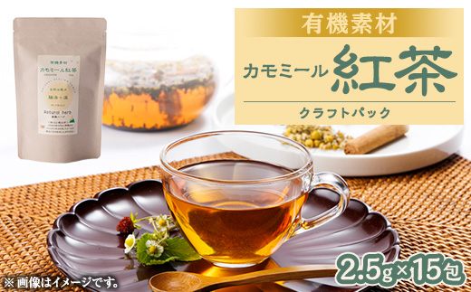 
            有機素材カモミールシナモン紅茶　紙パック　　【1499118】
          