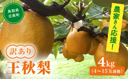 農家さん応援！訳あり 王秋梨 4kg(4～15玉前後) 梨 なし 果物 フルーツ 日南町 高間商店