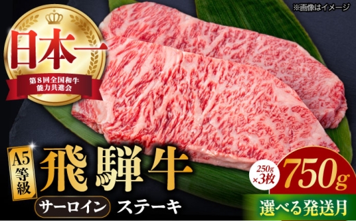 【8月発送】【飛騨牛】 A5等級 サーロイン ステーキ用 3枚 (計750g) 和牛 ブランド牛 国産 牛肉 多治見市 / 渡辺精肉店 [TAZ001-8]