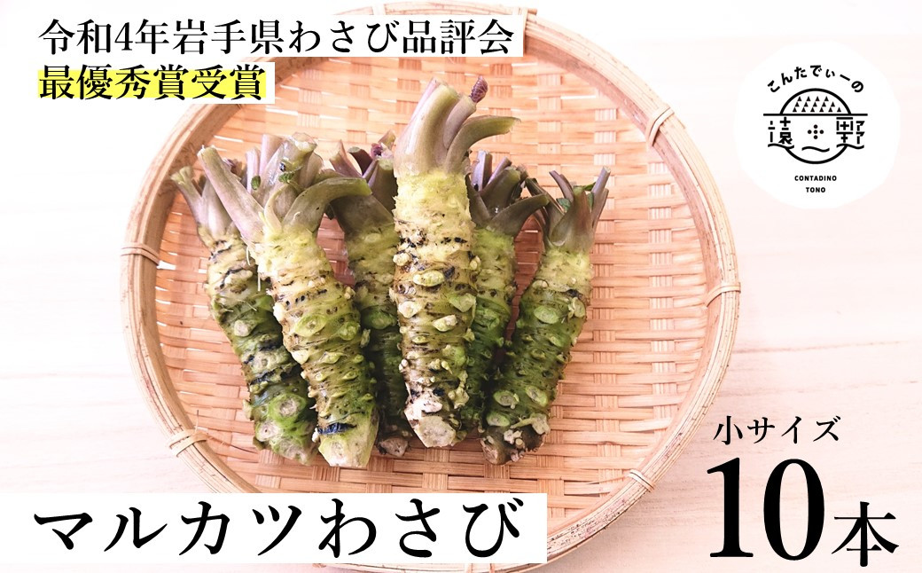 
【令和4年岩手県わさび品評会最優秀賞受賞】マルカツ わさび 小サイズ 10本 真空 【こんたでぃーの遠野】
