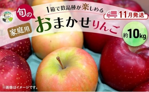 【11月発送】 家庭用 旬のりんご 品種おまかせ 約 10kg 2品種～4品種 りんご リンゴ 林檎 アップル おまかせ ランダム 旬 青森県産 青森県 西目屋村