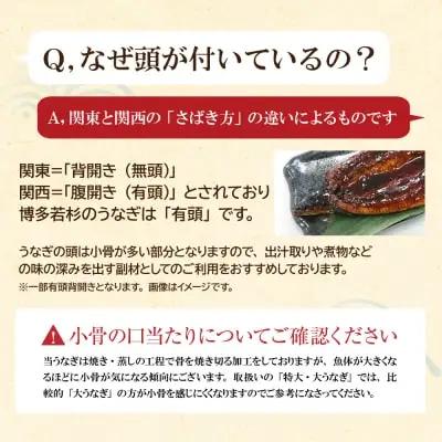 Z61-72 国産 うなぎ 蒲焼大サイズ4尾（計670g以上） うなぎ