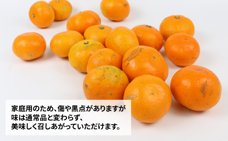 愛媛 みかん 早生 温州 10kg 家庭用 S~L サイズ ミックス 玉津みかん ニュービジネスユニット 先行予約 早生温州 温州みかん 蜜柑 果物 くだもの フルーツ 柑橘 蜜柑 mikan 愛媛蜜