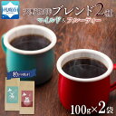 【ふるさと納税】 コーヒー ブレンド 粉 100g × 2 珈琲 生豆 自家焙煎 マイルド フルーティー スペシャルティコーヒー 中挽き ハンドドリップ ギフト グルメ トドマツ 開拓 天野珈琲 北海道 札幌市