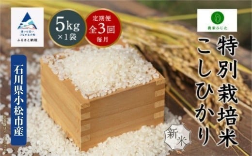 【定期便】コシヒカリ 5kg × 3回 令和7年産 特別栽培米 こしひかり 精米（毎月） コメ お米 3ヵ月 3ヶ月 3か月 石川県 小松市【農家ふじた】