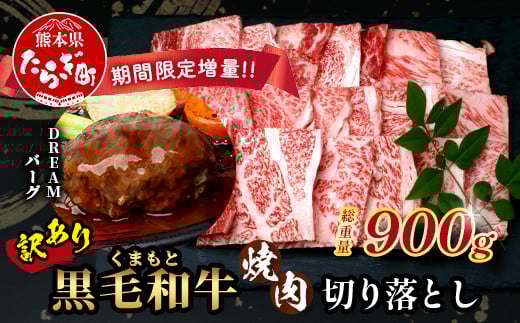 《R7.5・6・7・8・9月発送 限定 増量 》【訳あり】くまもと 黒毛和牛 焼肉 切り落とし 600g ＋ DREAMバーグ150ｇ×2個 【合計 900g】本場 熊本県 黒毛 和牛 ブランド 牛 肉 焼き肉 ハンバーグ 上質 くまもと 訳アリ 113-0534