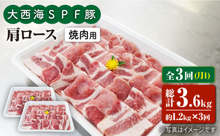
                  【月1回1.2kg×3回定期便】大西海SPF豚 肩ロース（焼肉用）計3.6kg 訳あり ＜大西海ファーム＞ [CEK090]
                