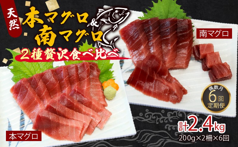 
【６回定期便】天然本マグロ　天然南マグロ　中トロ　各1柵　偶数月にお届け
