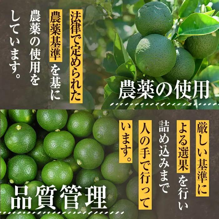 ＜先行予約受付中！2026年8月下旬以降順次発送予定＞おもとの丘の種なしかぼす(4kg)柑橘 かんきつ カボス 種無し 期間限定【111300900】【未来農林】