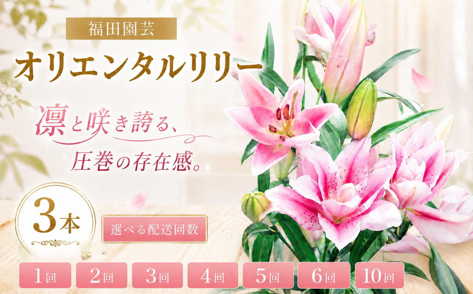 
                  ユリ オリエンタルリリー 3本セット 選べる 配送回数 1回 2回 3回 5回 6回 10回 花束 贈り物 ギフト プレゼント 誕生日 母の日 父の日 敬老の日 記念日 お祝い 結婚式 ウェディング ブーケ 華やか 大輪 香り 優雅 エレガント つぼみ ピンク 白 高級 切り花 福田園芸 花好き こだわり 栽培 メッセージカード ラッピング 安芸市 高知県
                