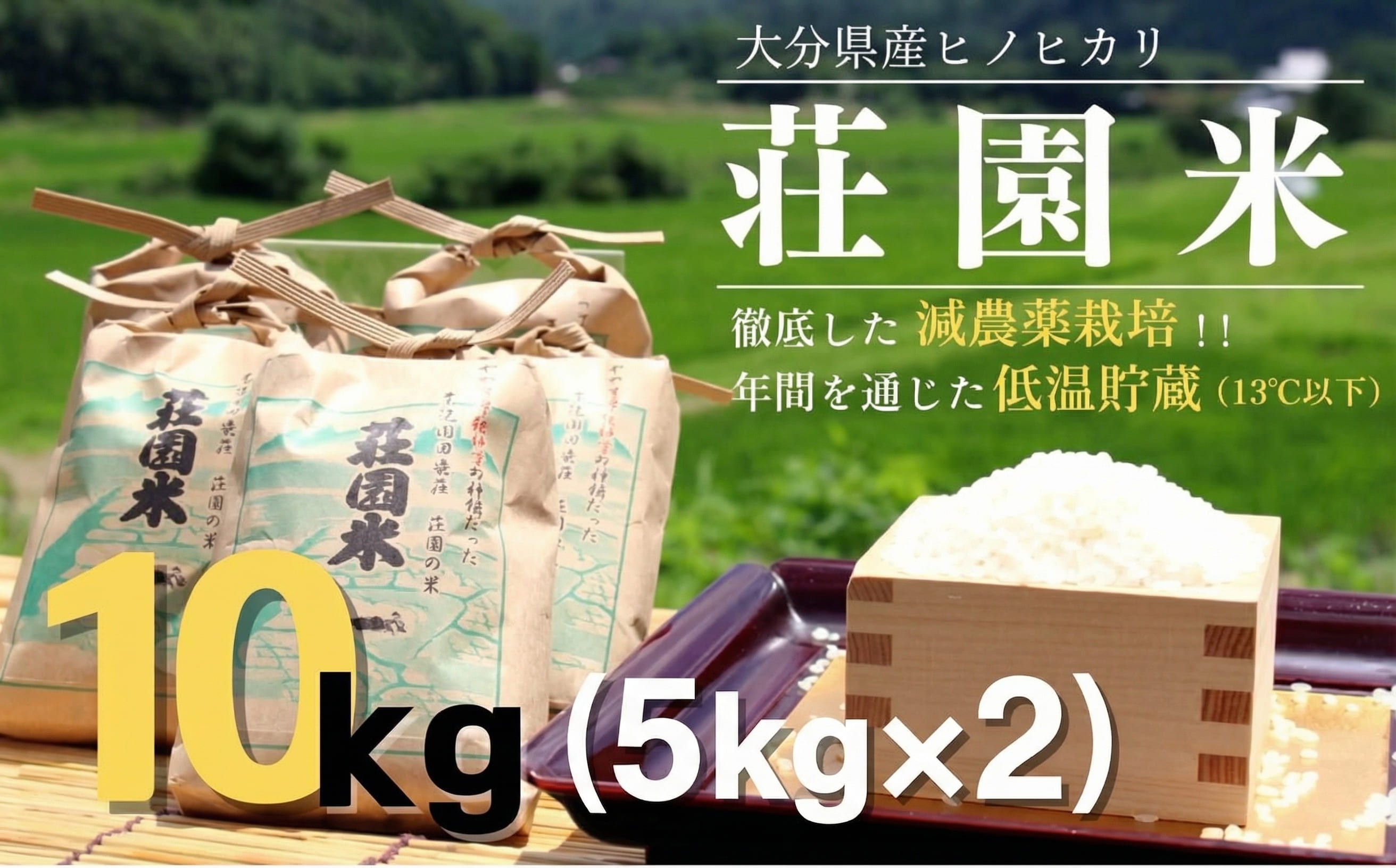 
                  【精米】米 10kg（5㎏×2）令和7年度産 荘園米 お米 精米 ヒノヒカリ ひのひかり
                