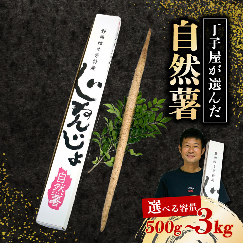 
            074　丁子屋が選んだ自然薯　台地のご馳走 500ｇ～3kg 選べる 容量 新鮮 健康 長寿 とろろ 静岡県 牧之原市 ヤマゴ増田製茶
          