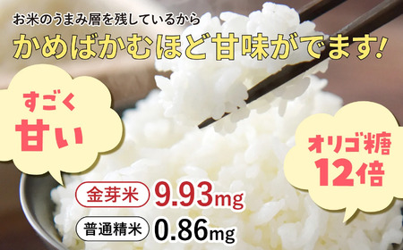 【 定期便 4回 】米 無洗米 金芽米 令和6年 宮城県 加美産 ひとめぼれ 特別栽培米 計 40kg ( 10kg × 4回 )   [ 宮城県 加美町 ] 金芽米 無洗米 金芽米 無洗米 /km0