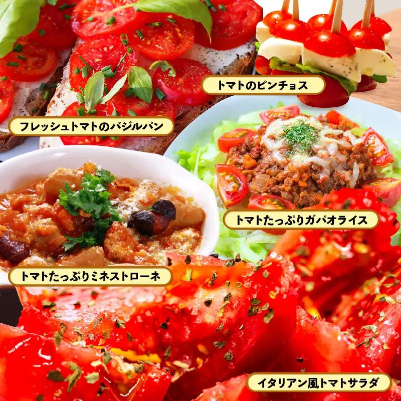 定期便 ≪2ヶ月連続お届け≫ フルーツミディトマト 約1kg × 2回 トマト 野菜 [m37-a026]
