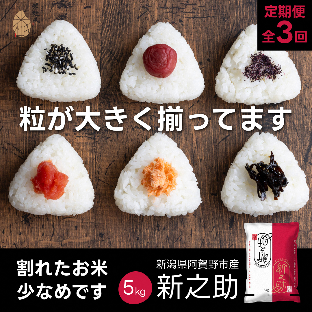 【3か月定期便】 新潟県阿賀野市産 新之助 5kg×3回 計 15kg 米杜氏 壱成 白米 精米 大粒 つや 光沢 弾力 芳醇 1H52040