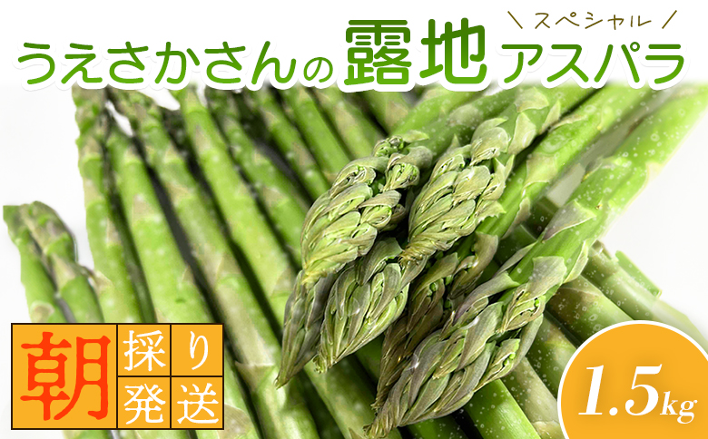 【2026年 先行予約！】【朝採り発送】うえさかさんの露地アスパラ スペシャル 1.5kg【20101】