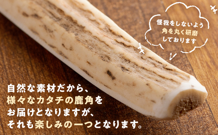 プレシカ 鹿の角 Lサイズ （15センチ半割り１本） | 犬 ペット用 愛犬用 おもちゃ 玩具 鹿角 エゾシカ 歯みがき ガム デンタルケア ストレス発散 天然 無添加 北海道 津別町 送料無料
