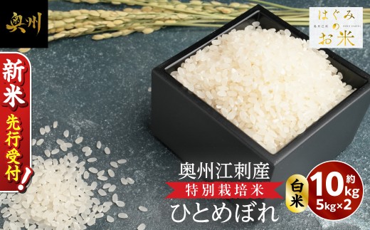 ＼ 令和8年産 新米 先行受付 ／ ひとめぼれ 10kg 特別栽培米 hugmiのお米 奥州江刺産 白米 数量限定 ツヤ 粘り 冷めても美味しい ご飯 ごはん お米 こめ ライス おにぎり お弁当 岩手県 奥州市 [BJ014-R8]