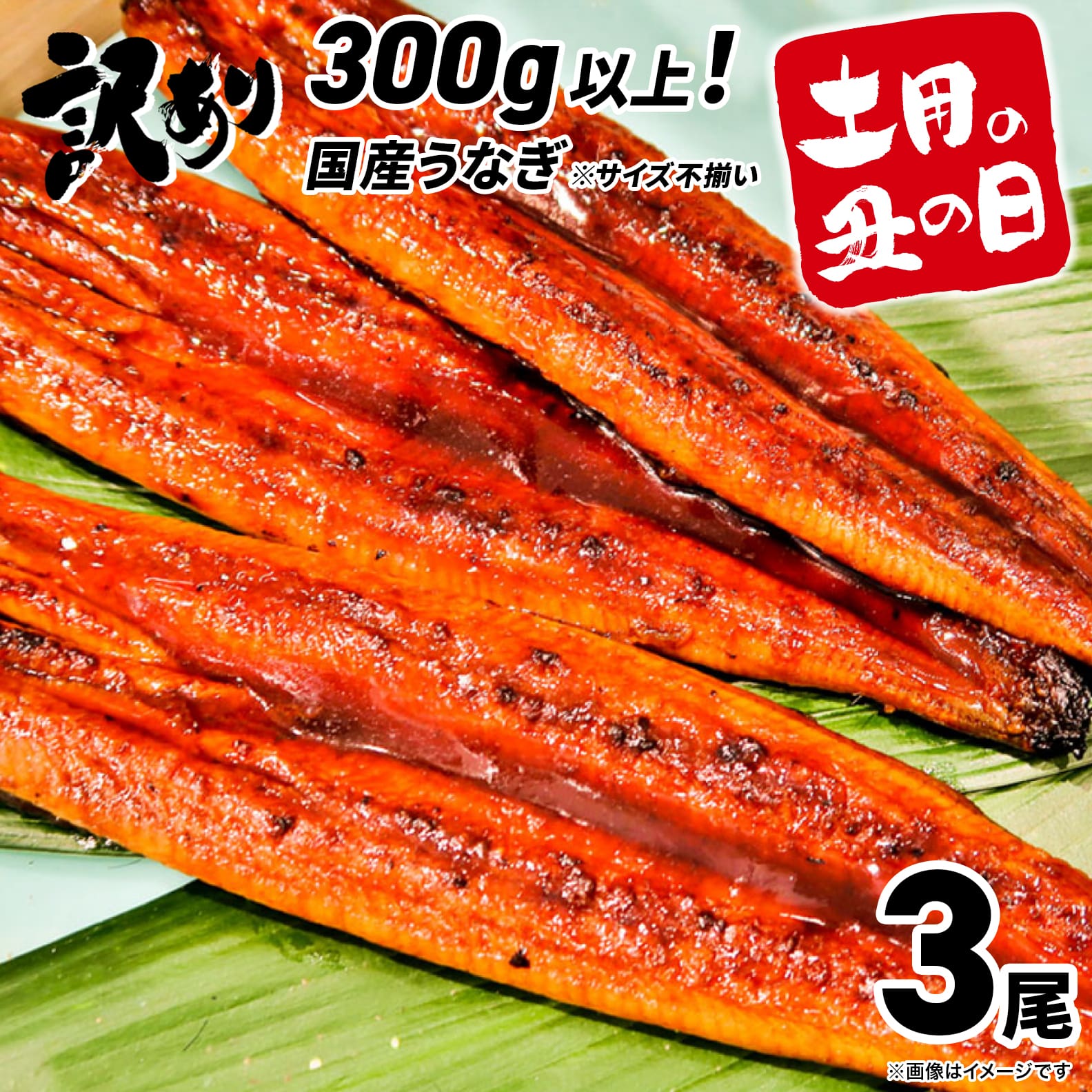 さかい河岸水産 国産うなぎ 3尾(300g以上) 訳あり サイズ不揃い