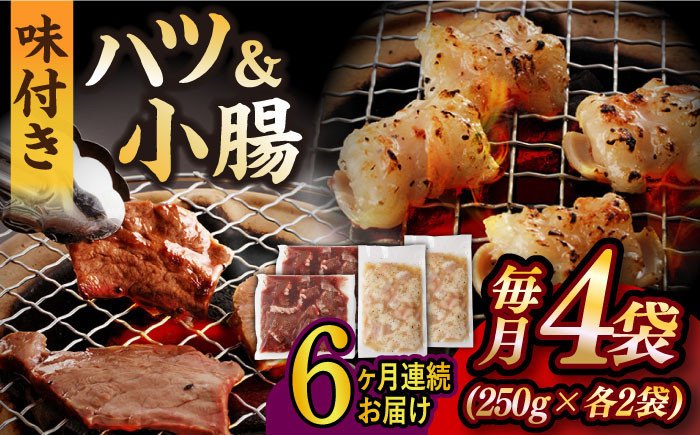 
            【全6回定期便】【塩だれ】九州産和牛 ホルモン 2種 計1kg（ ハツ 250g×2袋・ 小腸 250g×2袋） 長与町/岩永ホルモン [EAX140] ホルモン焼き 国産 牛肉 ホルモン ミックス 小分け 味付き 冷凍 焼肉 焼き肉 和牛 塩 しお 牛 定期便 ていきびん 定期
          