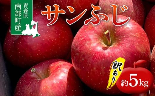 ≪訳あり≫ 青森県 南部町産 りんご サンふじ 約5kg 【盛果園】 青森りんご リンゴ 林檎 アップル あおもり 青森 南部町 三戸 南部 果物 くだもの フルーツ 家庭用 訳アリ わけあり 規格外 F21U-368