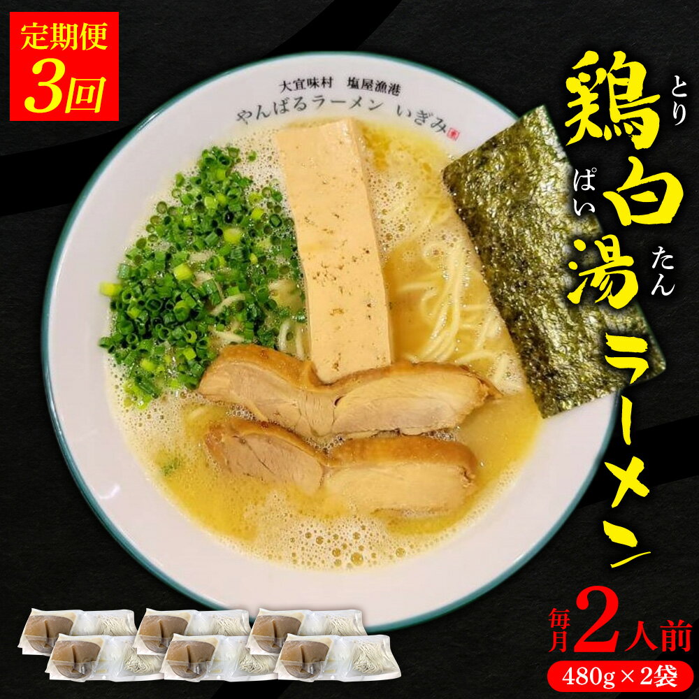 【ふるさと納税】【定期便：3回】鶏白湯ラーメン 2人前（480g×2袋） 沖縄 大宜味村 らーめん こだわり 2人前 2袋 ふるさと納税 送料無料 ご当地 お取り寄せ グルメ 人気 定期 プレゼント 自分用 パイタン ぱいたん ラーメン