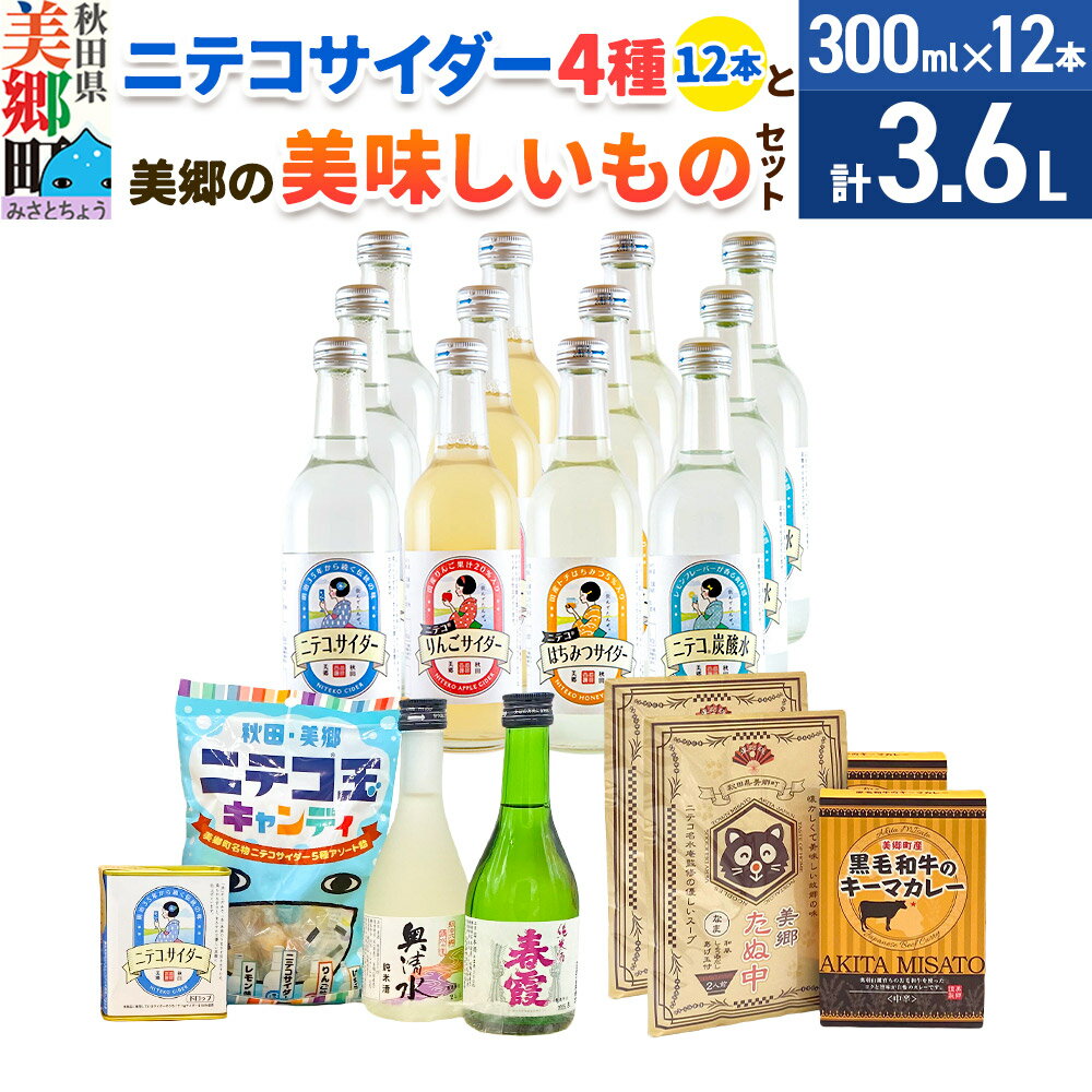 【ふるさと納税】炭酸飲料 ニテコサイダー4種12本と美郷の美味しいものセット